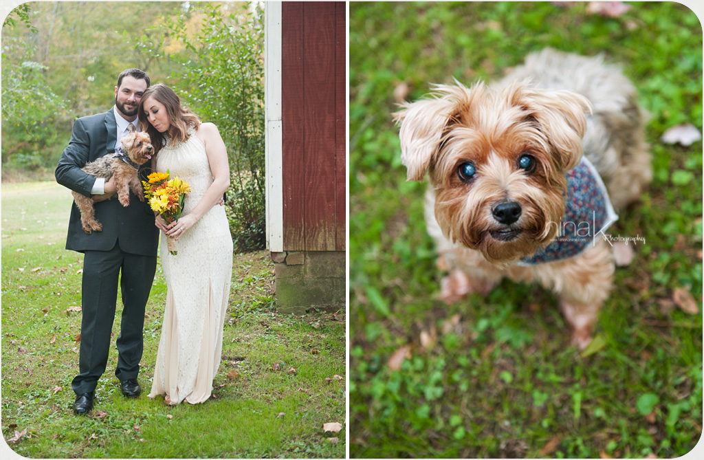backyard wedding